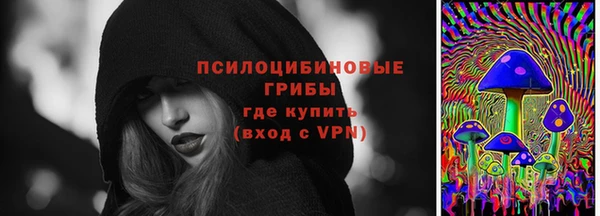 индика Няндома