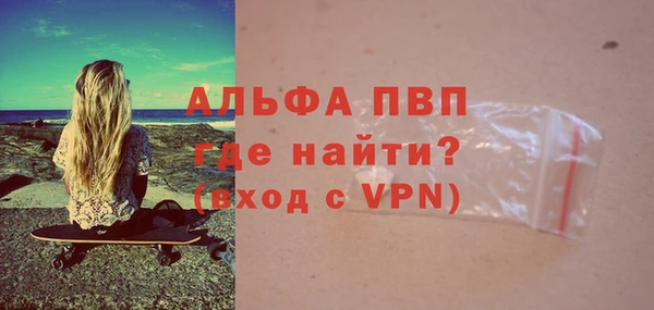 индика Няндома