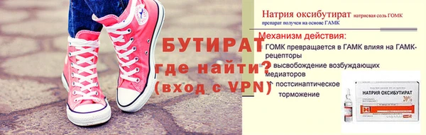 индика Няндома