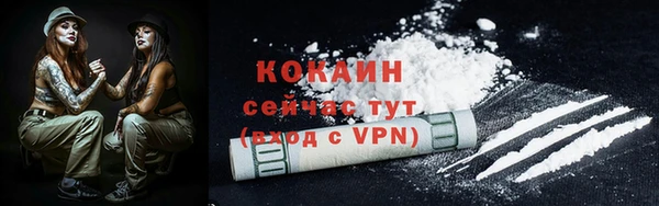 индика Няндома
