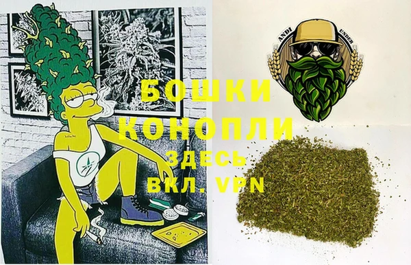 индика Няндома