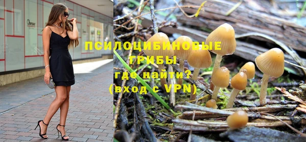 дурь Осташков