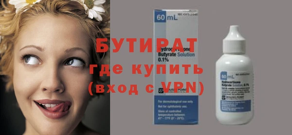 индика Няндома
