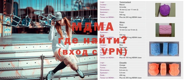 индика Няндома