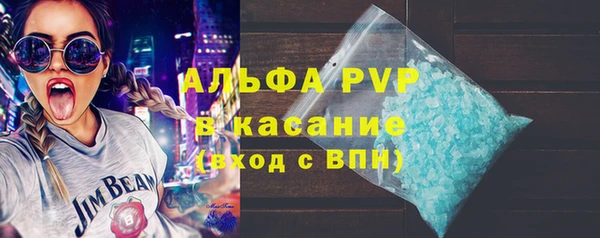 индика Няндома