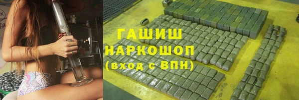 индика Няндома